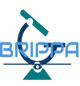 BRIPPA logo